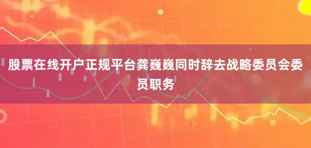 股票在线开户正规平台龚巍巍同时辞去战略委员会委员职务